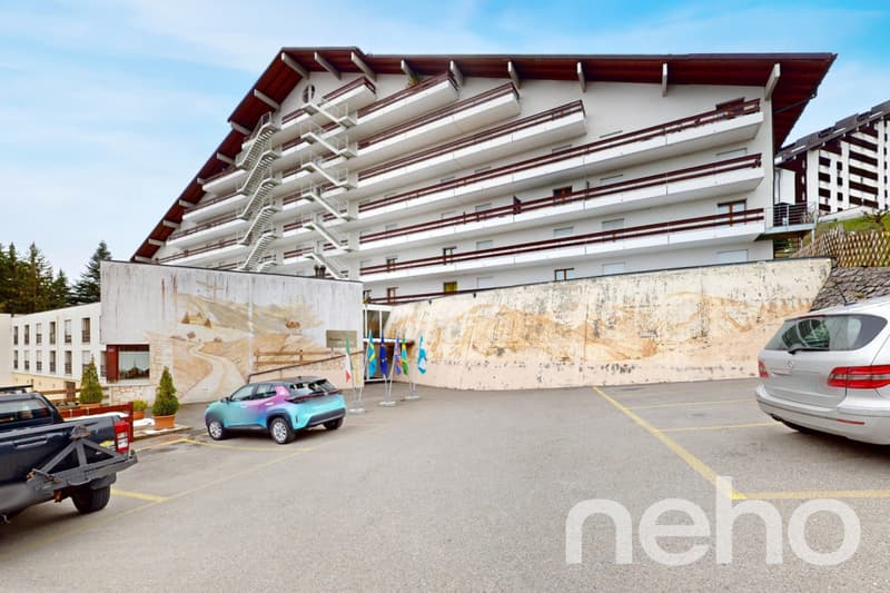 Appartement exclusif à Torgon (11)