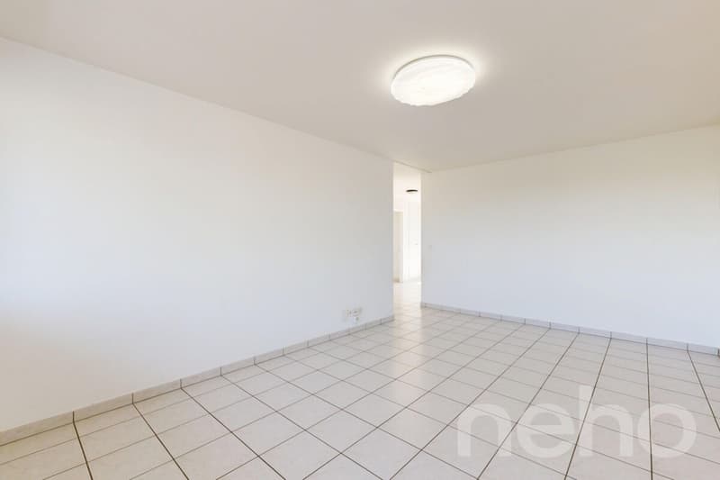 Helle 4.5-Zimmer-Wohnung mit Balkon und Rheinblick in Stein AG (5)