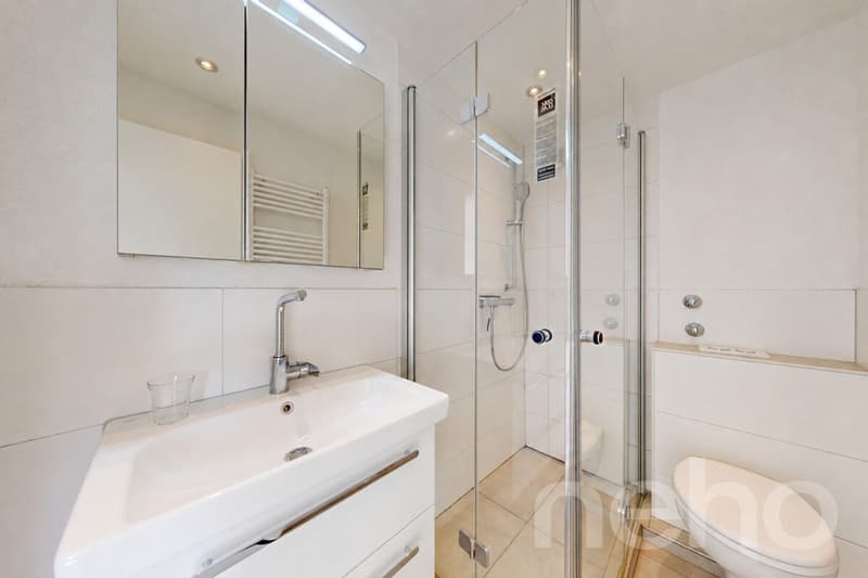 Helle 4.5-Zimmer-Wohnung mit Balkon und Rheinblick in Stein AG (8)