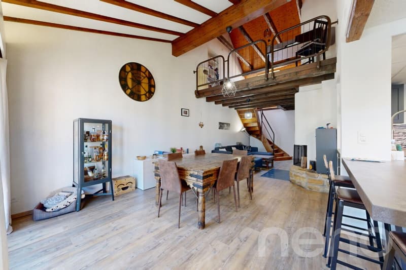Splendide duplex de 6,5 pces (217 m²) ? Idéal pour les familles (12)