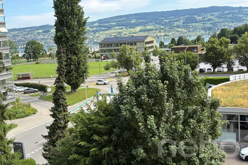 Attraktive 3.5-Zimmer-Wohnung mit teilweisem Seeblick in Horgen (3)