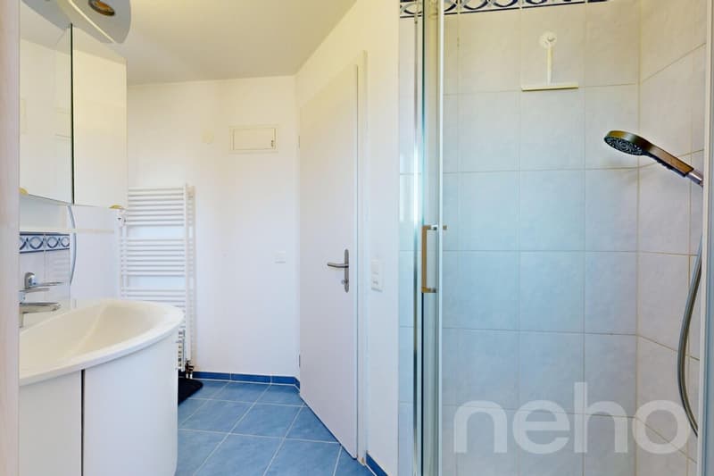 Attraktive 3.5-Zimmer-Wohnung mit teilweisem Seeblick in Horgen (11)