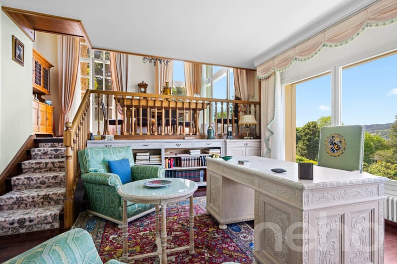 Demeure de maître de 480m² avec appartement de rendement (11)