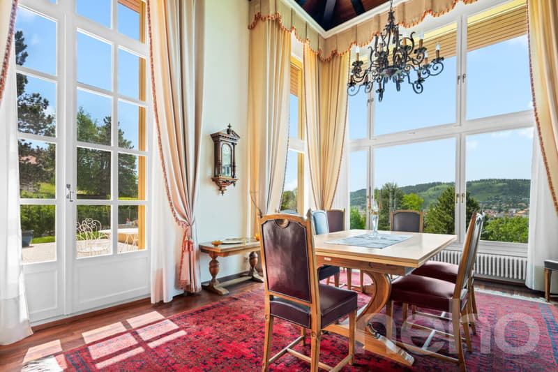 Demeure de maître de 480m² avec appartement de rendement (10)
