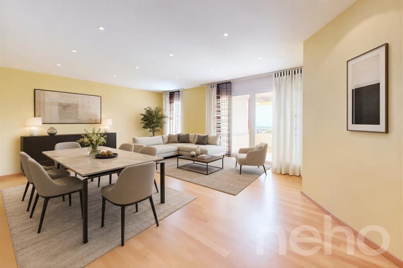Appartement spacieux, lumineux et vue apprenable sur le lac ! (4)
