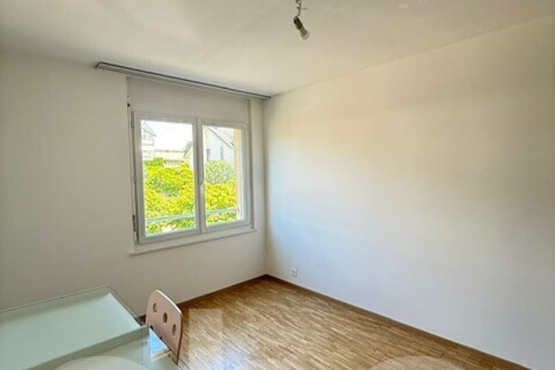 Appartement spacieux, lumineux et vue apprenable sur le lac ! (9)