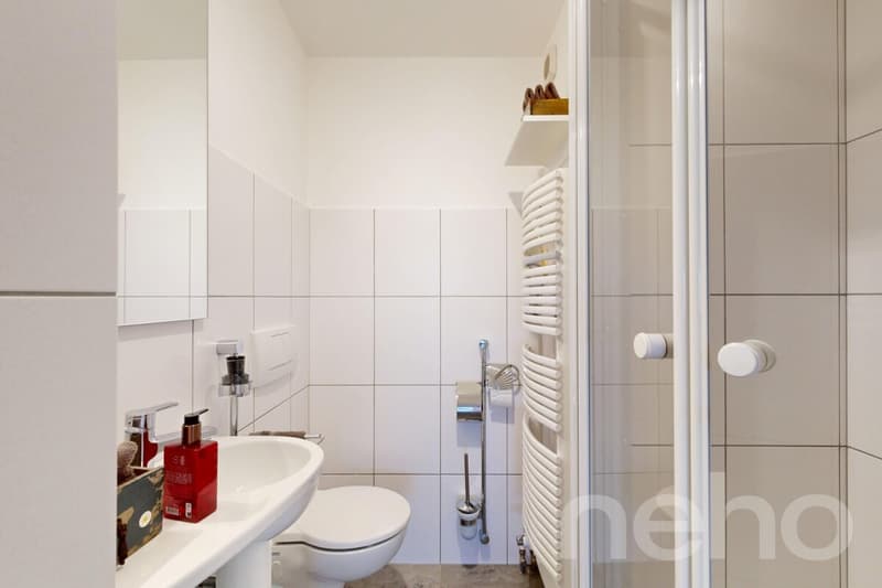 Helle, grosszügige Terrassenwohnung mit Alpensicht (9)