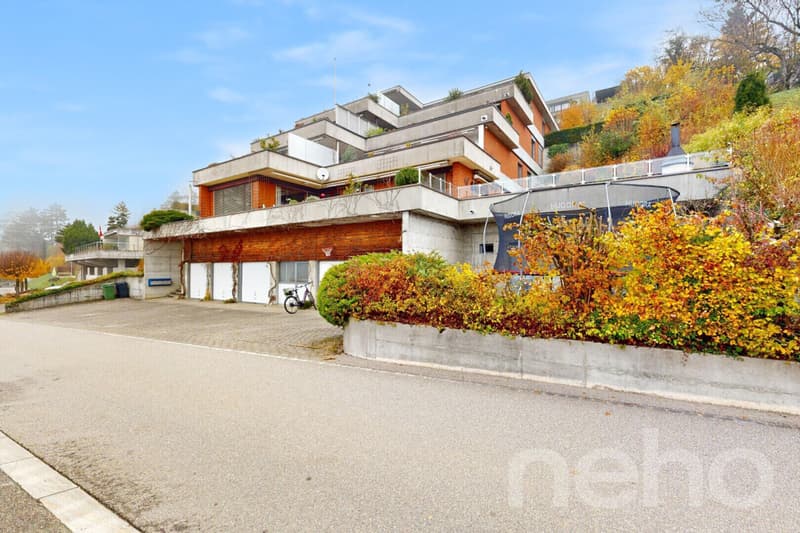 Helle, grosszügige Terrassenwohnung mit Alpensicht (12)