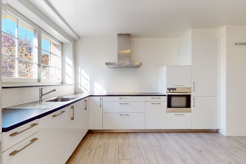 Duplex avec jardin, immense cave et 2 couverts à voiture (2)