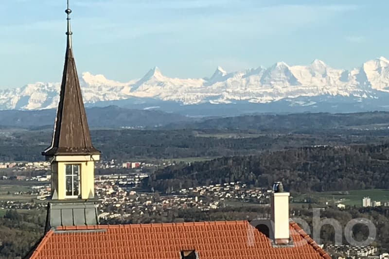 Grosszügige Attikawohnung mit Blick auf die Alpen (11)
