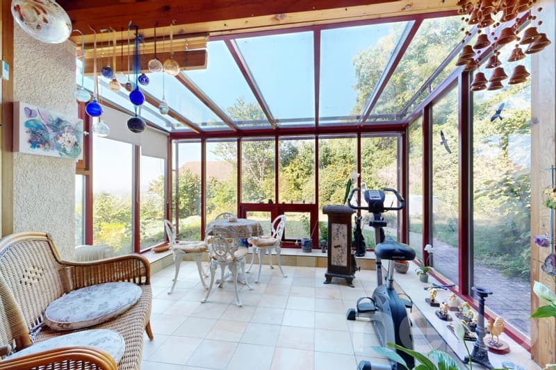Maison en lisière de forêt, vue lac et Alpes (9)