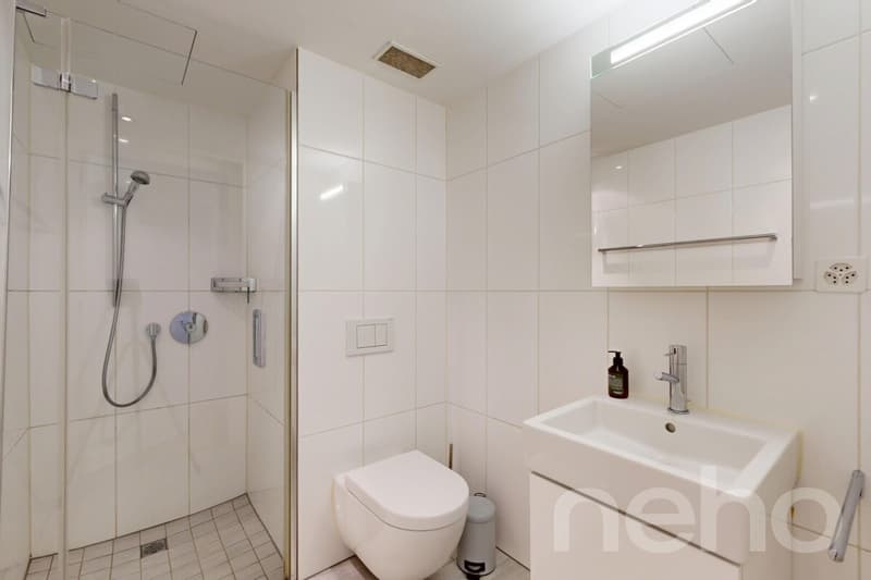 3 Minuten zum HB. Grosszügige Maisonette mit 2 Balkonen (9)