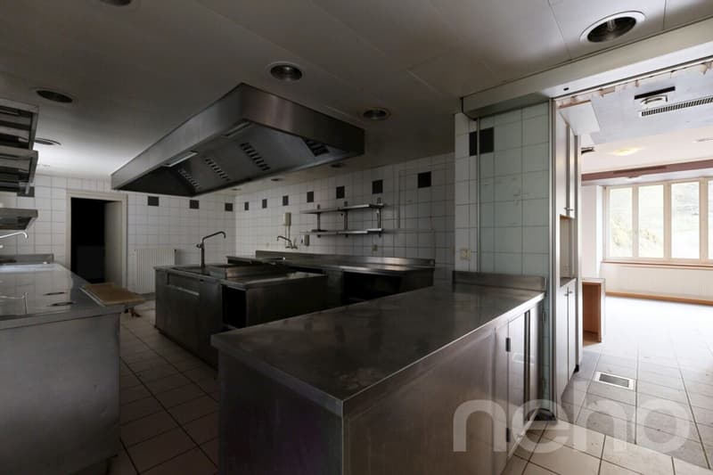 OPPORTUNITÉ RARE : RÉVEILLEZ LA LÉGENDE DE LA MAISON MONSIEUR (8)