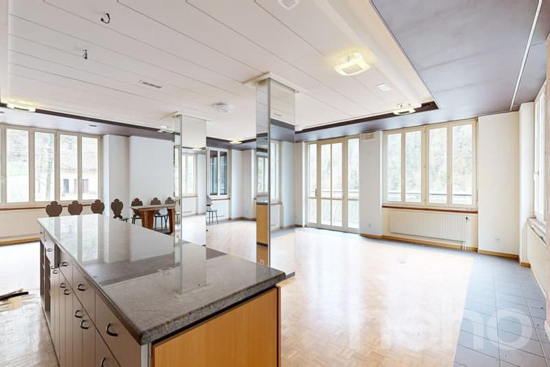 OPPORTUNITÉ RARE : RÉVEILLEZ LA LÉGENDE DE LA MAISON MONSIEUR (3)