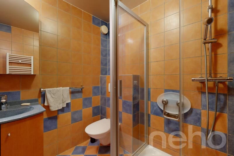 Appartement avec panorama sur le lac et les Alpes, proche du centre (12)