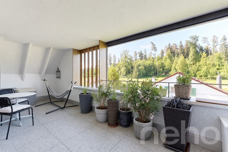 Erstklassige 3.5-Zimmer-Maisonette-Dachwohnung (3)