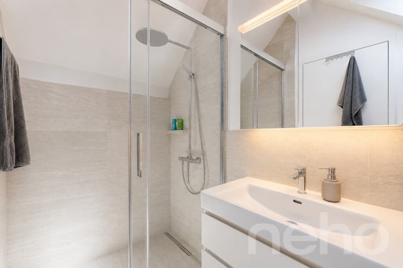 Erstklassige 3.5-Zimmer-Maisonette-Dachwohnung (10)
