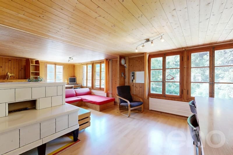 Un chalet plein de charme dans un écrin de verdure (9)