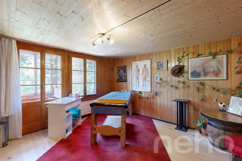 Un chalet plein de charme dans un écrin de verdure (10)