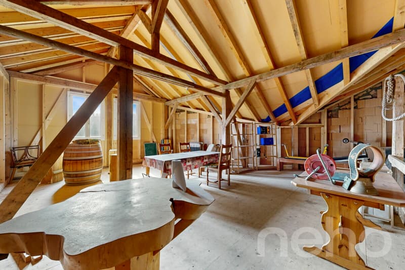 Ancienne ferme rénovée ? volumes d?exception et cadre privilégié (12)