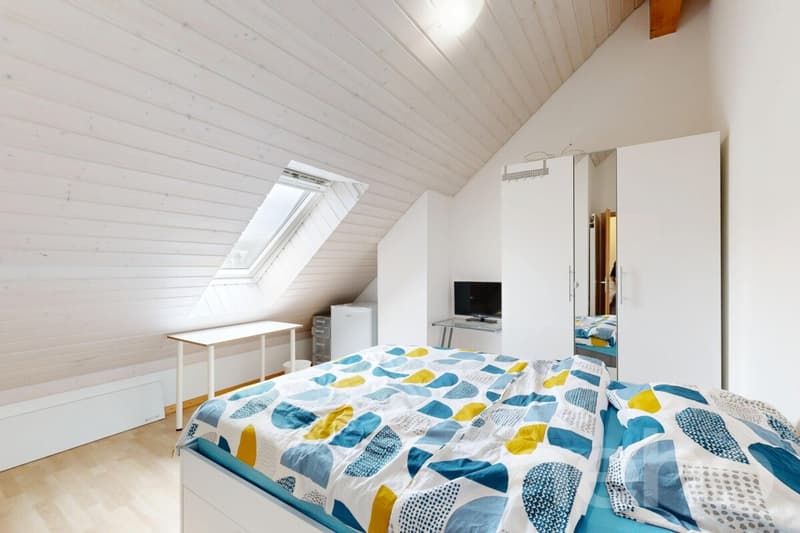 Attique lumineux en Duplex de 5.5 pièces (8)