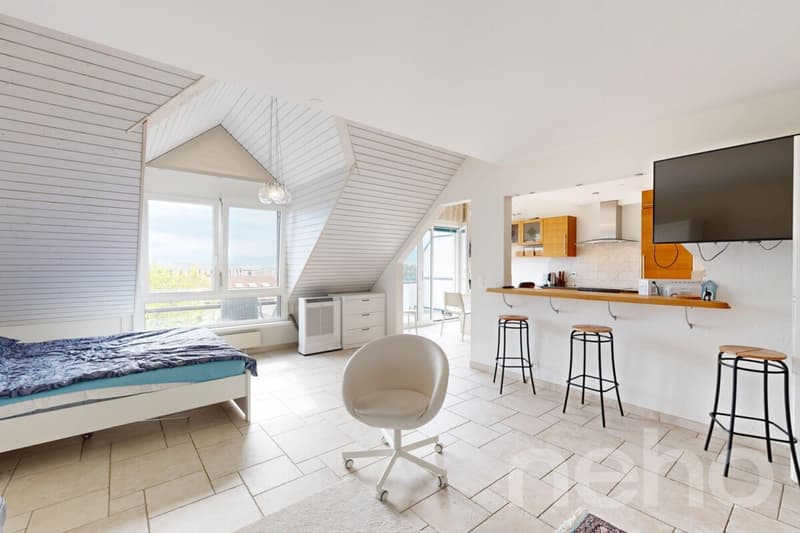 Attique lumineux en Duplex de 5.5 pièces (3)