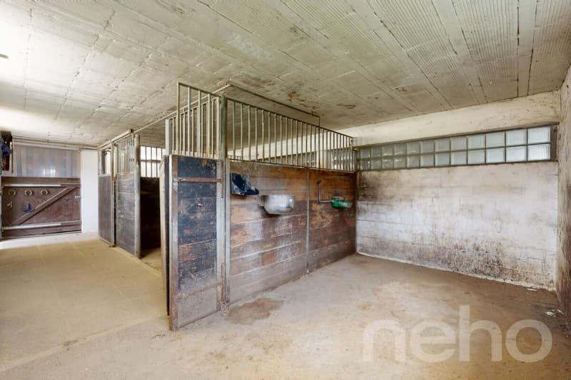 Idyllische Wohnung ideal für Pferdeliebhaber (10)
