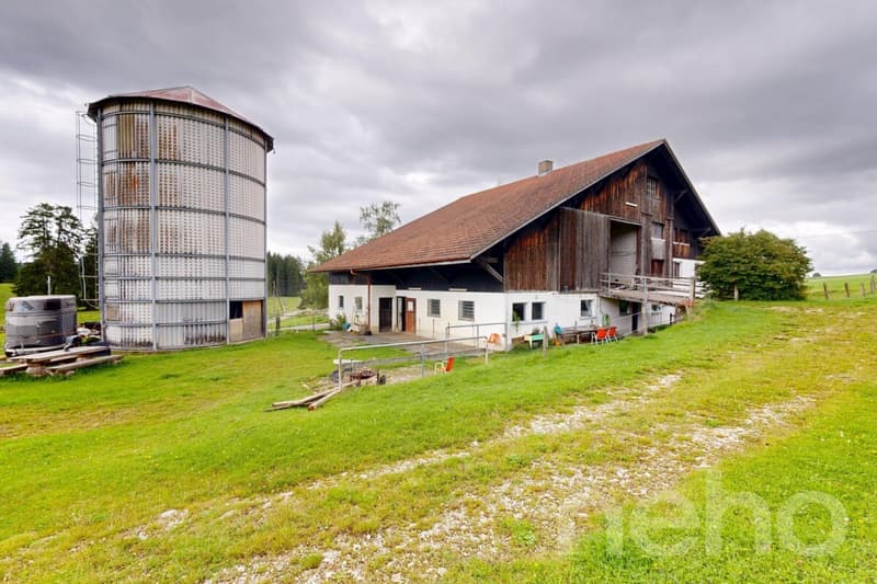 Idyllische Wohnung ideal für Pferdeliebhaber (11)