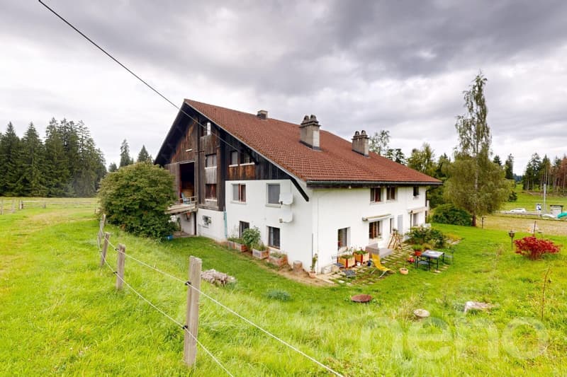 Idyllische Wohnung ideal für Pferdeliebhaber (3)