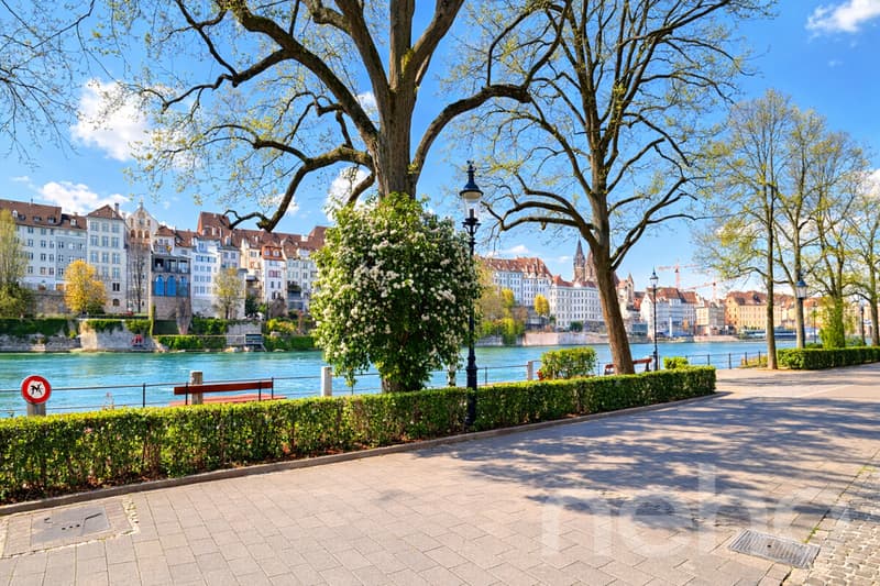 Wohnen am Rhein mit einzigartigem Blick aufs Basler Münster (1)