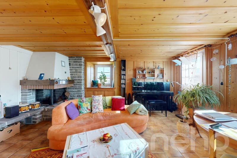 Maison spacieuse à fort potentiel dans un cadre paisible (4)