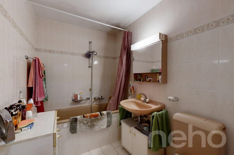 Appartement 3.5 avec garage (10)