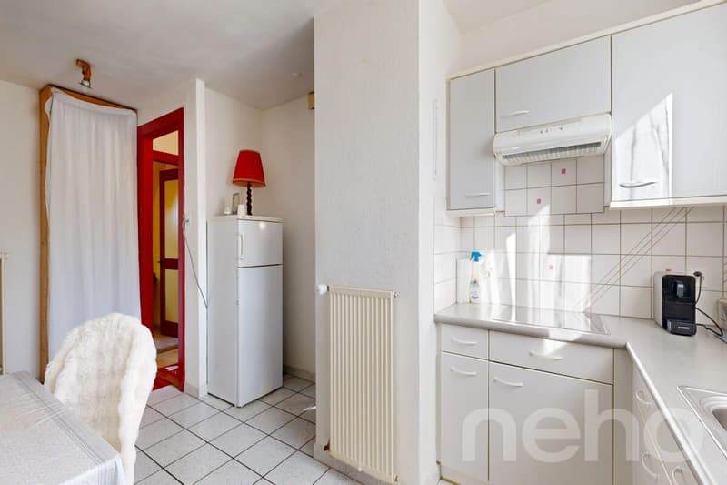 Grande demeure familiale de 2 appartements: 6,5 pièces + 3 pièces (9)