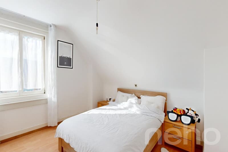 Grande demeure familiale de 2 appartements: 6,5 pièces + 3 pièces (8)