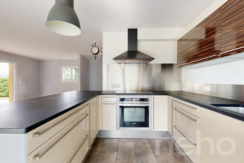 Maison mitoyenne d?angle et vaste jardin à Vessy (5)