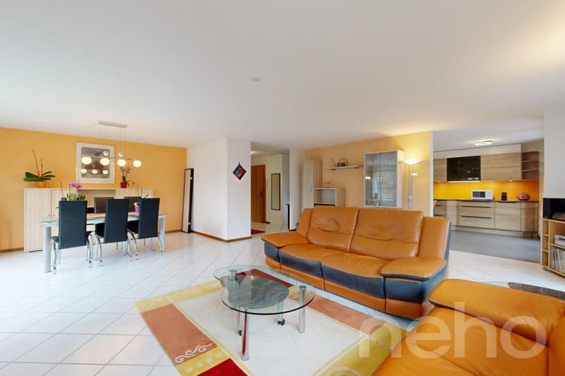 Grand 5,5 pièces de 160 m², vue dégagée et calme absolu (2)