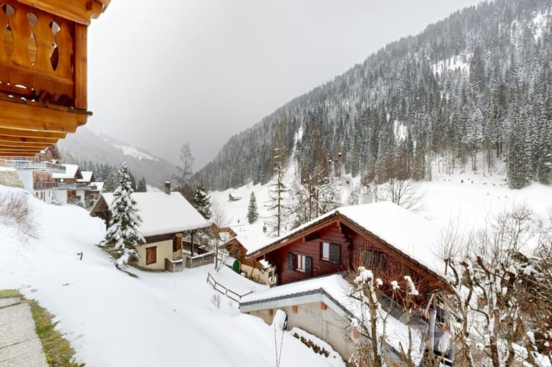 Exclusif : Chalet de 4 chambres avec garage (12)