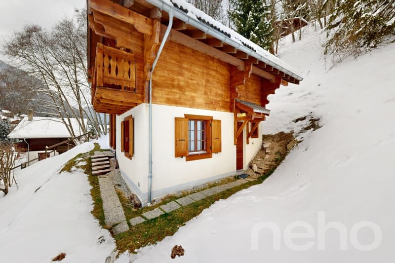Exclusif : Chalet de 4 chambres avec garage (3)
