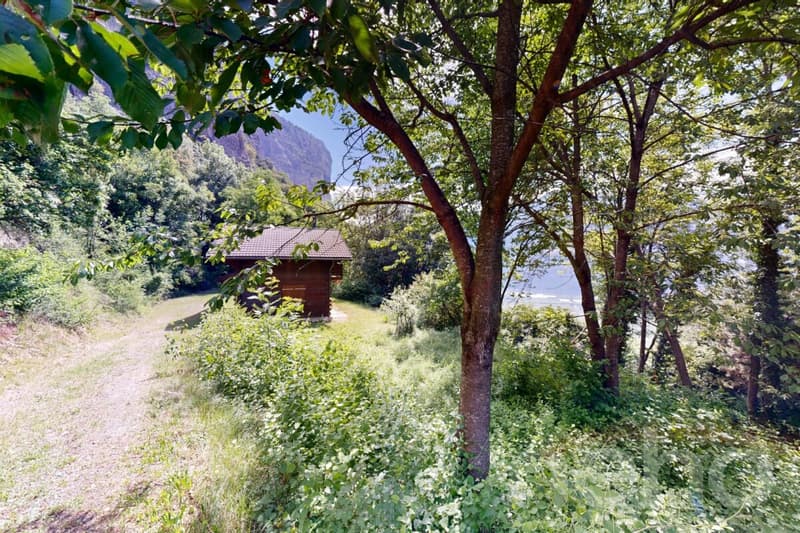 Superbe parcelle à Chamoson (11)