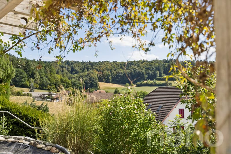 5-Zimmer Einfamilienhaus an ruhiger Traumlage (11)