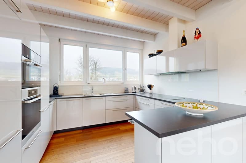 Einfamilienhaus mit Werkhalle, PV-Anlage und viel Gewerbepotenzial (9)
