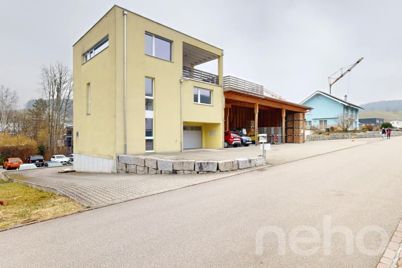 Einfamilienhaus mit Werkhalle, PV-Anlage und viel Gewerbepotenzial (1)