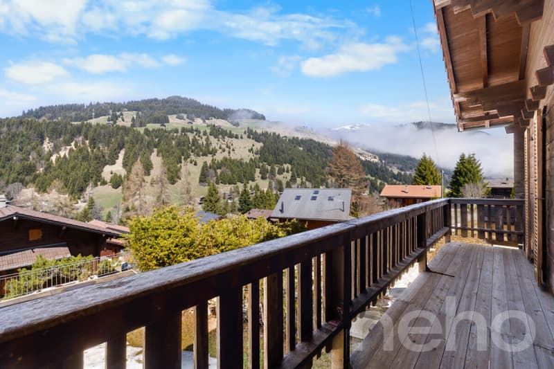 Exclusif : Superbe chalet de 5 chambres rénové récemment (12)