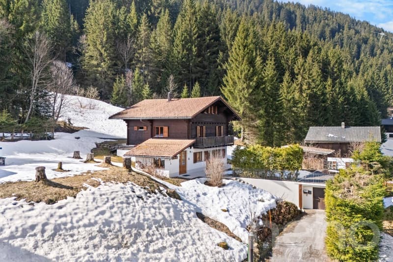 Exclusif : Superbe chalet de 5 chambres rénové récemment (3)