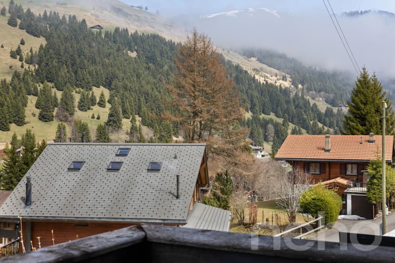 Exclusif : Superbe chalet de 5 chambres rénové récemment (9)