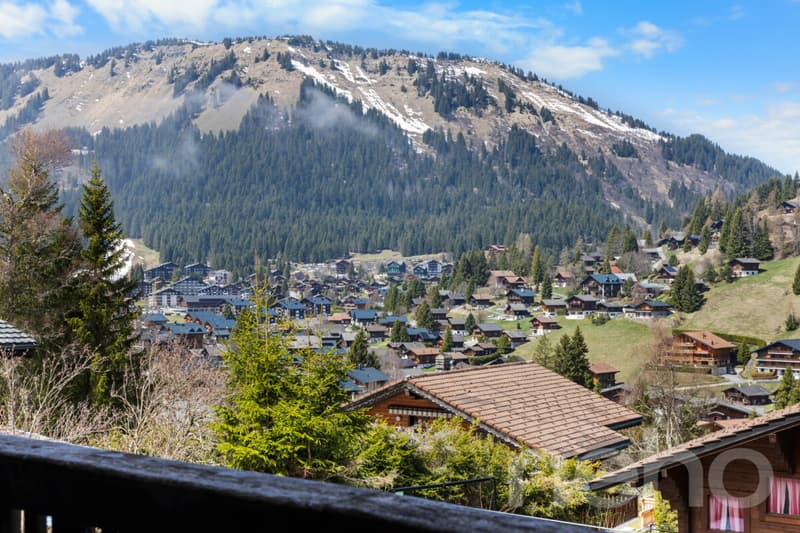 Exclusif : Superbe chalet de 5 chambres rénové récemment (8)