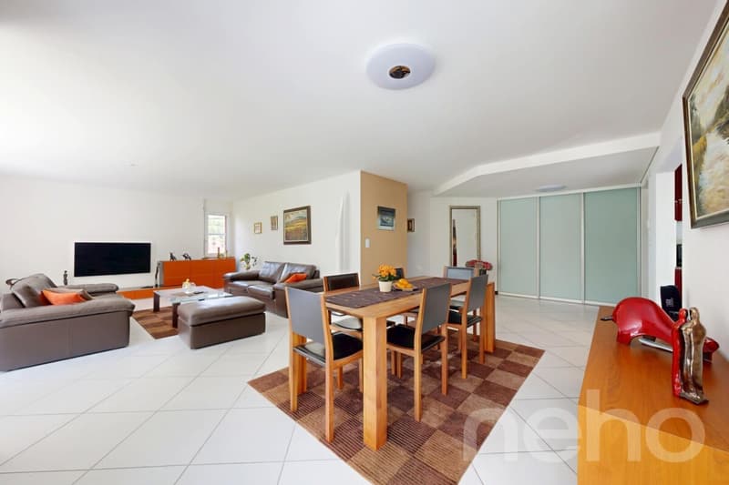 Magnifique appartement avec véranda et jardin privatif! (2)