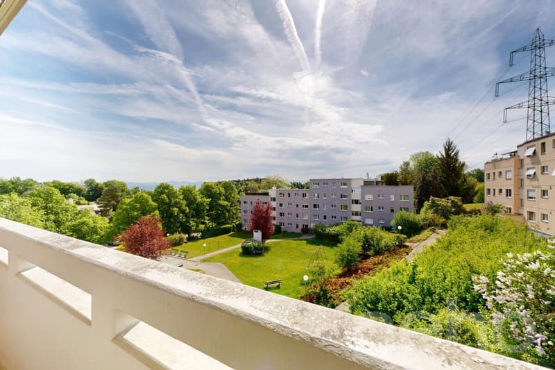 Ruhig gelegene 5-Zimmer-Wohnung mit Balkon und Tiefgaragenplatz (3)