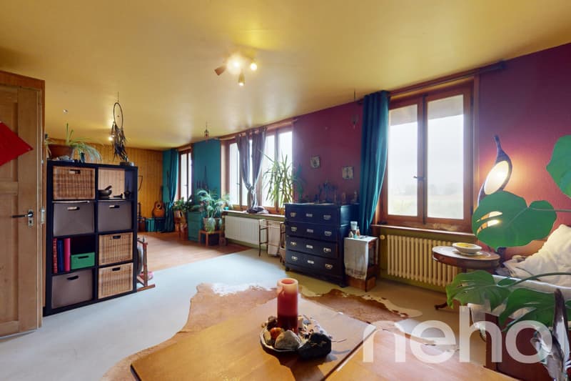 Grosszügiges 10-Zimmer EFH in Safern mit Garten! (5)