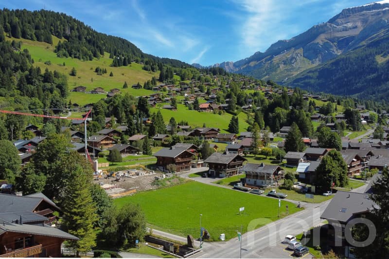 Exclusif: Magnifique terrain constructible à l'entrée du village (2)